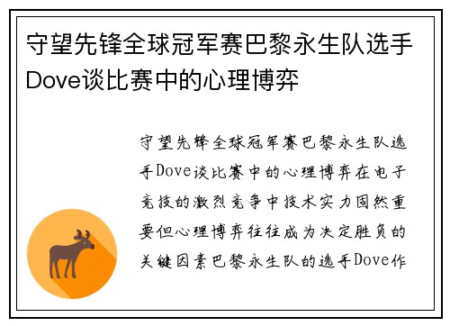 守望先锋全球冠军赛巴黎永生队选手Dove谈比赛中的心理博弈