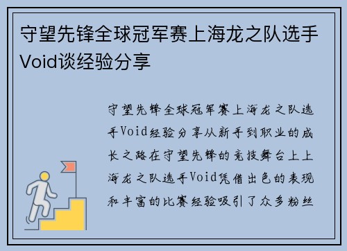 守望先锋全球冠军赛上海龙之队选手Void谈经验分享